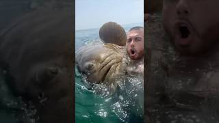 Stackz Compilation Pt. 88 “Dinosaur Fish”