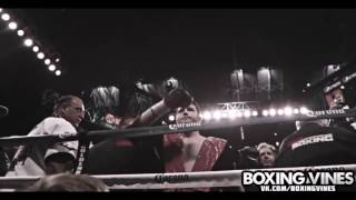 Canelo Alvarez Vine