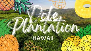 Pineapple Express Train Tour | Dole Plantation Hawaii