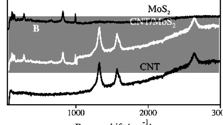 94535D1A9F5E83BA034C8B7404F488#1