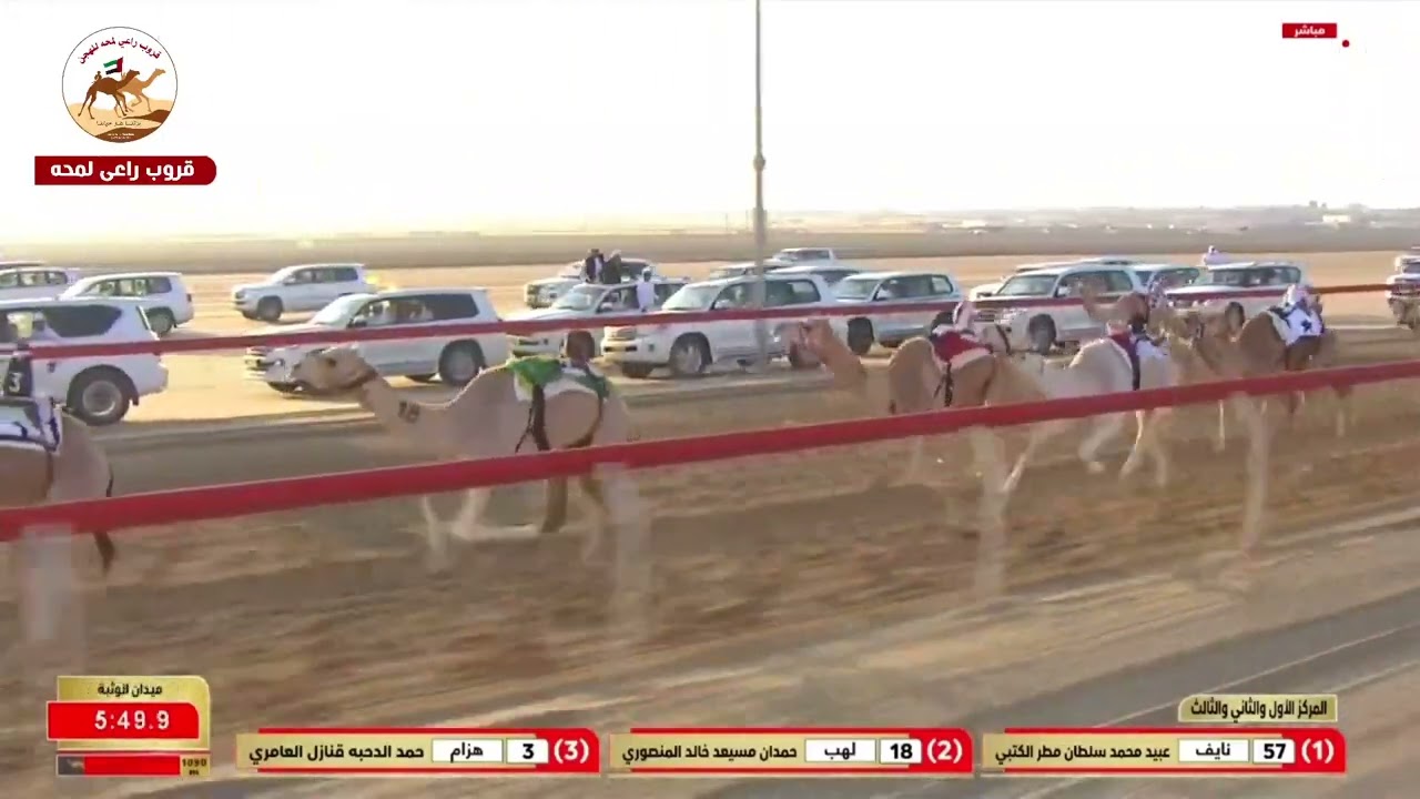 ش4 (شداد قعدان مهجنات انتاج )نايف لـ عبيد محمد سلطان مطر مرخان الكتبي 7:20:16( جائزة زايد الكبرى )