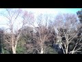 最強「お祓い動画」　　７４１＋倍音ひふみ祝詞