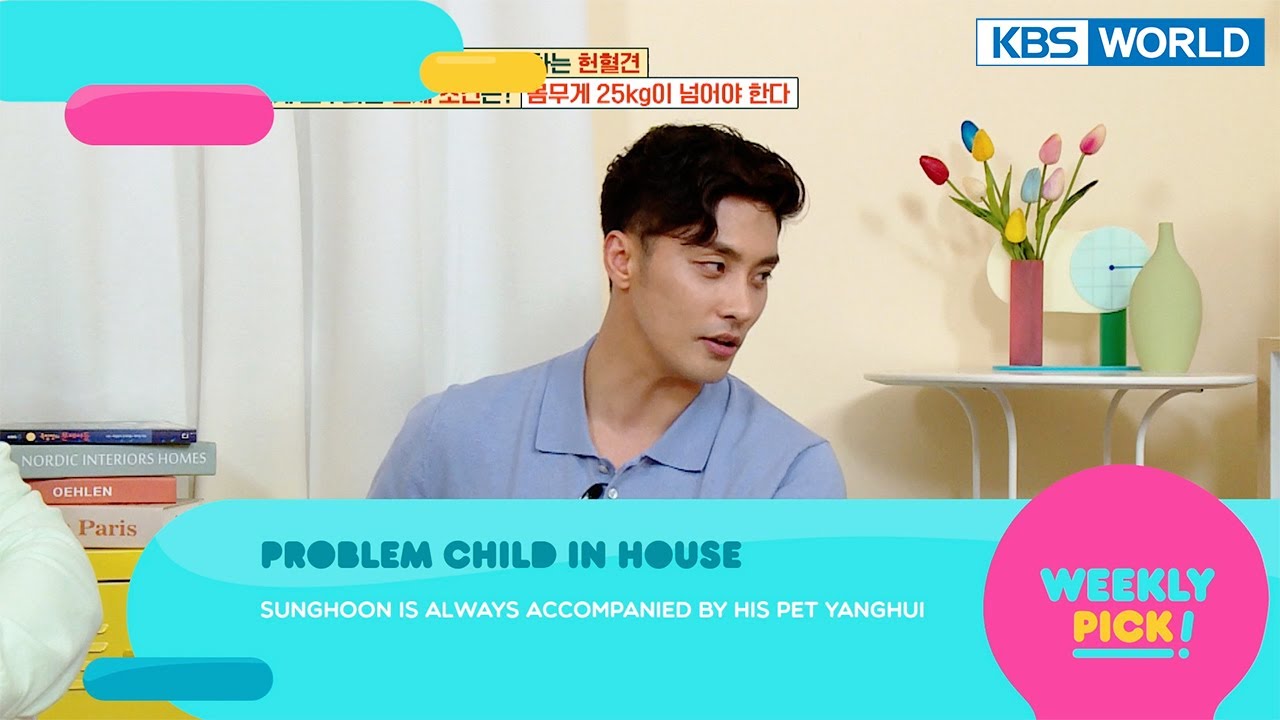GODFATHER / Mr. House Husband / Problem Child in House [Weekly Pick | KBS WORLD TV]