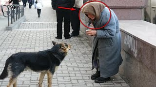 Собака сбежала из дома, но потом ее нашла старушка... История о Доброте.