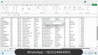 Exp22_Excel_Ch11_ML2_Donors | Exp22 Excel Ch11 ML2 Donors | Complete Solution 100%