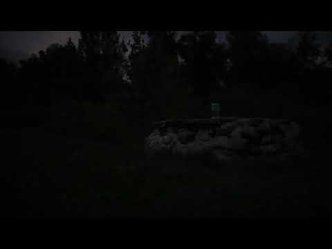 Fireflies also known as Lightning Bugs Preview to Bug Catcher Video