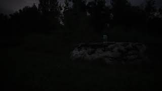 Fireflies also known as Lightning Bugs Preview to Bug Catcher Video