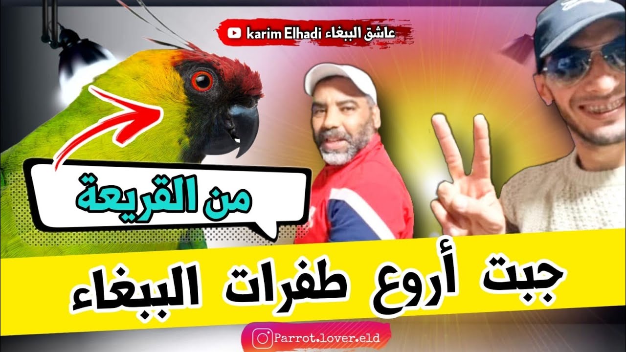 جبت أروع طفرات🤑الببغاء من سوق القريعة🔥