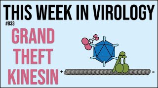 TWiV 833: Grand theft kinesin