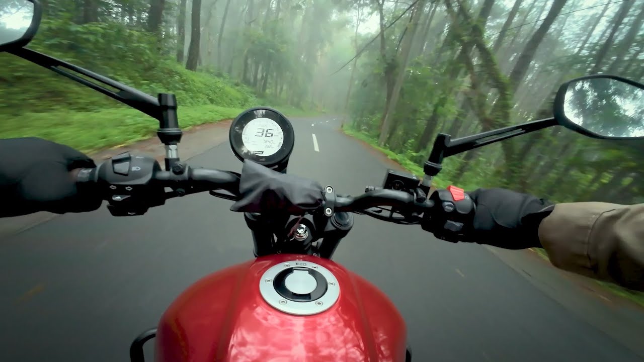 Mangunan Forest, a Morning Ride ft. TVS Ronin 225