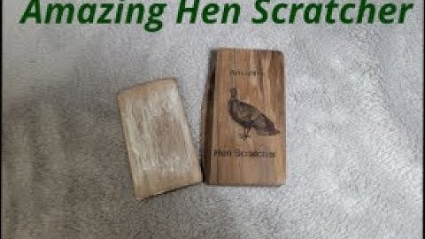 Fantom Amazing Hen Scratcher