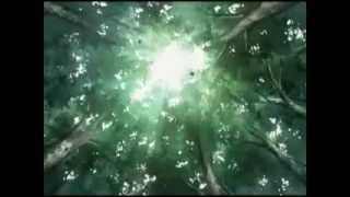 code geass (paralyzer)