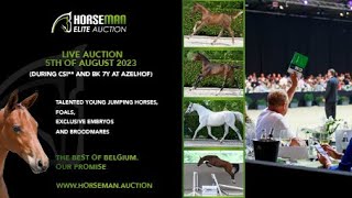 Horseman Foal : Dalida Vh Reukenis Z