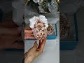 Елочные шары в подарок!