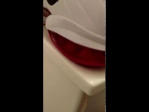 air max bubble scuff