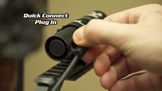 Piglet Hd Demo Video