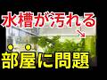 水槽のコケが消えない原因、実はこれが大きな要因です