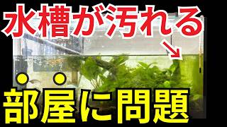 水槽のコケが消えない原因、実はこれが大きな要因です