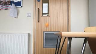 Ball reference 1 Profile