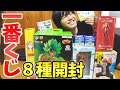 【メインのその後】一番くじ8種 約2万円分を全部開封。～フィギュアマニアは今日も辛口～【Vlog】