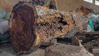 Trembesi Giant Log Madness 😱 One Mistake Could Destroy The Entire Machine!