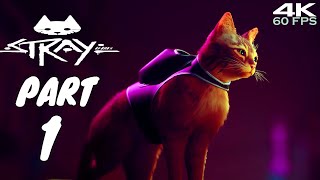 STRAY - Gameplay Walkthrough Part 1 No Commentary (PC/4K 60FPS)