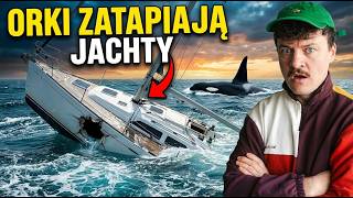 Orki atakują - część 2