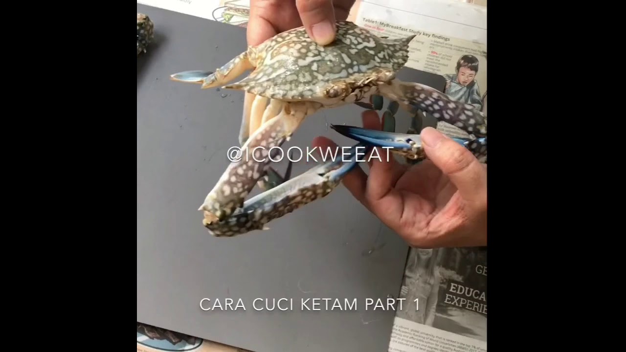 Cara Sis cuci ketam / How to Clean Crabs
