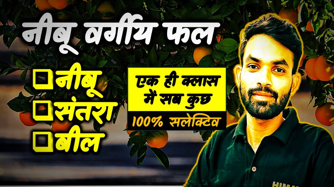 नींबू वर्गीय फलों का विस्तार से अध्ययन / एक ही क्लास में / नींबू / संतरा / बील / Citrus Fruits 