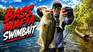 Is This $17 Swimbait Worth It?? I SAY YES!