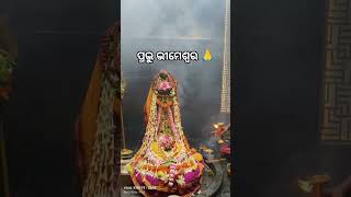 Jalasayi Pare Sandhya Aalati 🙏.#youtubeshorts #bhimeshwara #nanadbhabiworld #harharmahadev #newpost