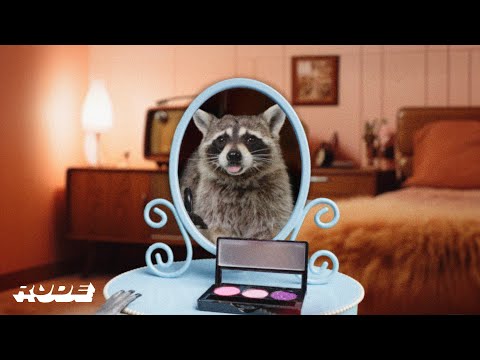 Sydney Sprague — Sydney Sprague - overkill (Official Music Video)