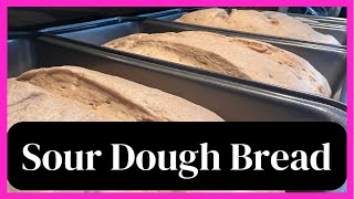 5 Ingredient!! Healthy Whole Wheat Sour Dough Bread Trim Healthy Mama Approved THM Long Fermented screenshot 3