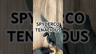 How Sharp is the Spyderco Tenacious #edc #blade #foldingknives #knifelife #edcknife #knifesounds