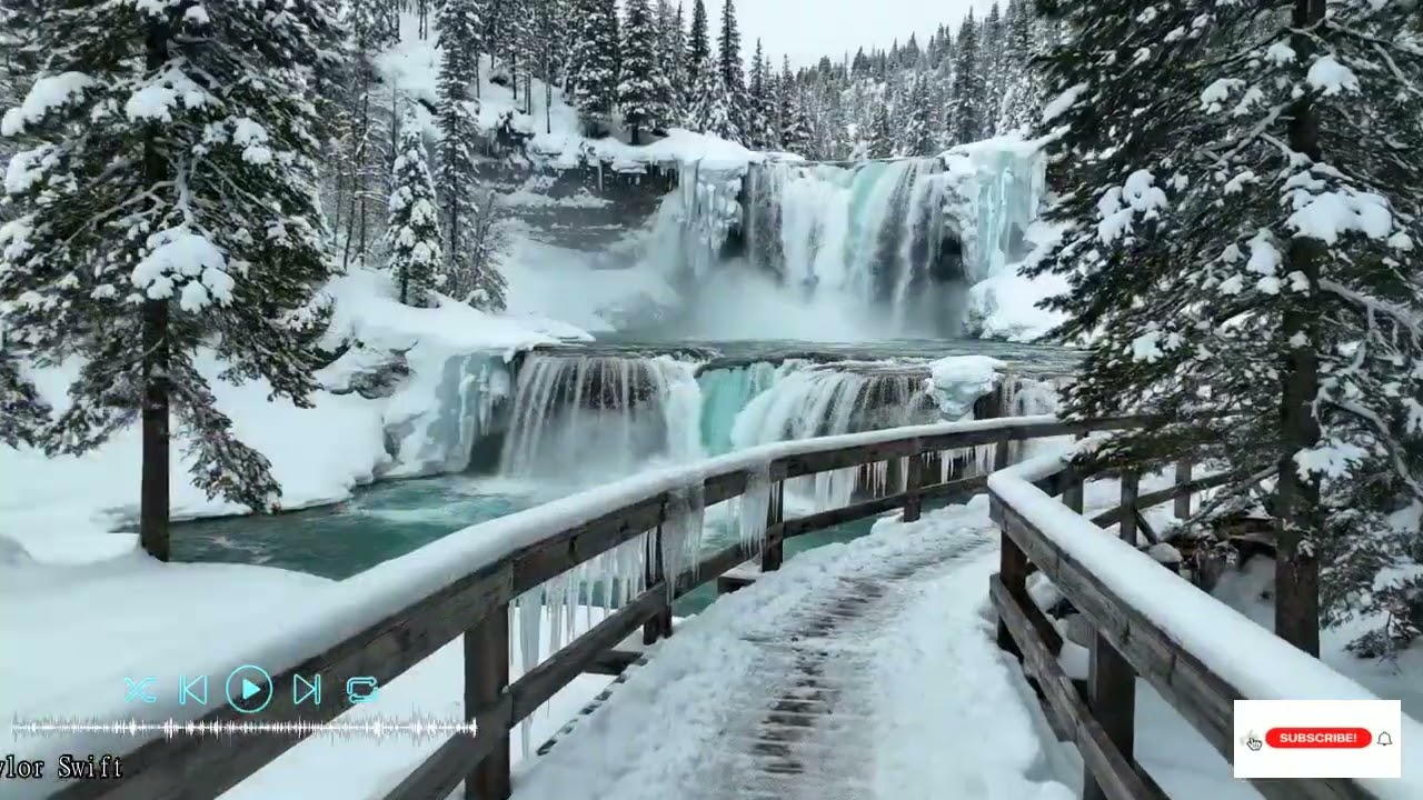 Experience the Elegance of Chamber Music to Awaken the Heart with Timeless Harmony