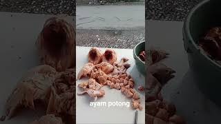 Hari buruh 2026 #ayampotong #fillet #broiler #broilerchicken #dagingayam #meat