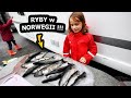 Złowiłem 13 Dużych Ryb we Fiordzie !!! - Trzeba je Wypatroszyć !!! - *Norwegia, Wiry w Saltstraumen