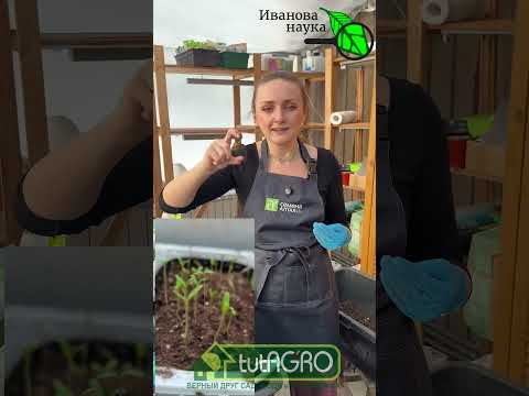 ОНИ ВАМ ВРУТ КАК ДЫШАТ! Самое важное при посеве чего угодно - не врать!