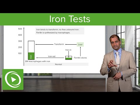 Normal Iron Study Labs: Iron Tests – Hematology | Lecturio
