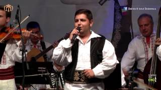 Florin Mihalache - Pe un munte 'nalt și verde