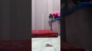 main tepk kartu di hari kamis malam Jumat 🐸