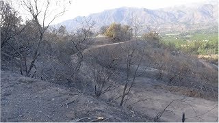 Aftermath Of Thomas Fire From Santa Paula To Ojai