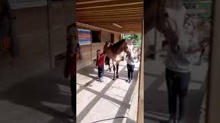 Ad ref 238360   Video 3