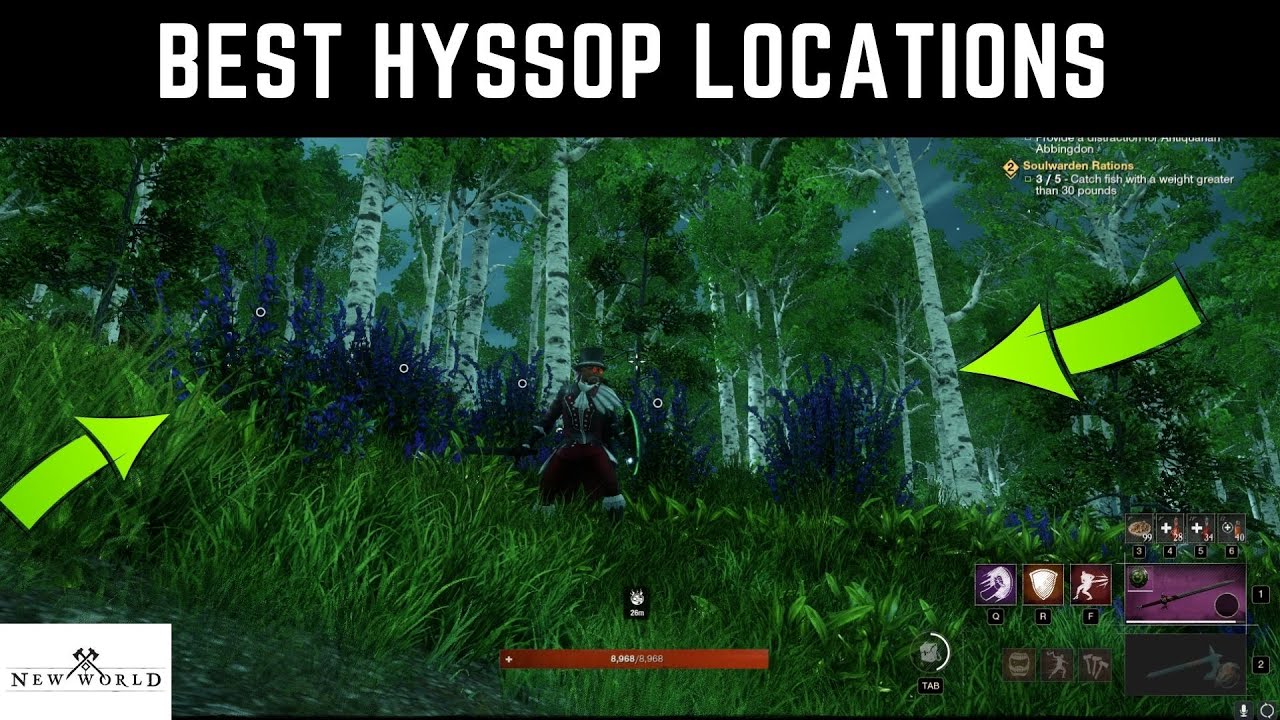 BEST FARMING LOCATIONS FOR HYSSOP CRAZY MONEY METHOD NEW WORLD YouTube