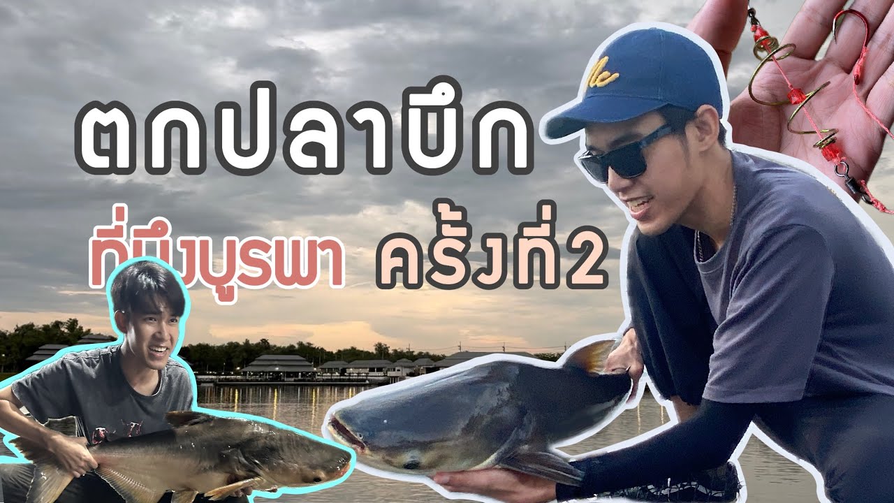 ตกปลาบึกที่บึงบูรพา ครั้งที่2 #บึงบูรพา