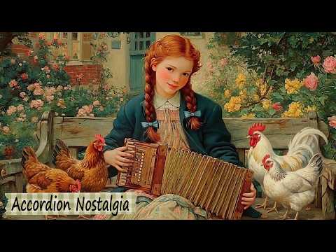Calm Warmth That Flowed 𖤣𖥧 Accordion, Cello & Piano Classical Music for Reading and Studying