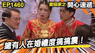 愛．回家之開心速遞 | 第1460集精華 | 總有人在婚禮度搞搞震！