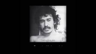 Story Iwan Fals Imitasi