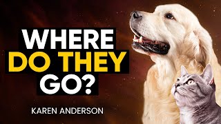 FINALLY REVEALED: Are Animal's SOULS Waiting For YOU in a PET AFTERLIFE? | Karen Anderson