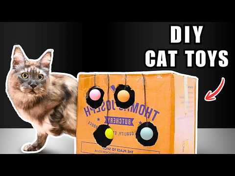 I Tested 10 VIRAL DIY Cat Toys… Do They Actually Work? thumbnail